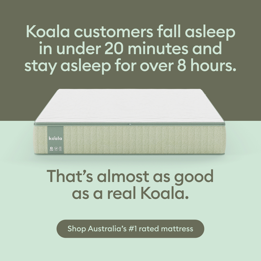 Koala
